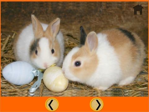 friendly rabbits for kids free screenshot 2