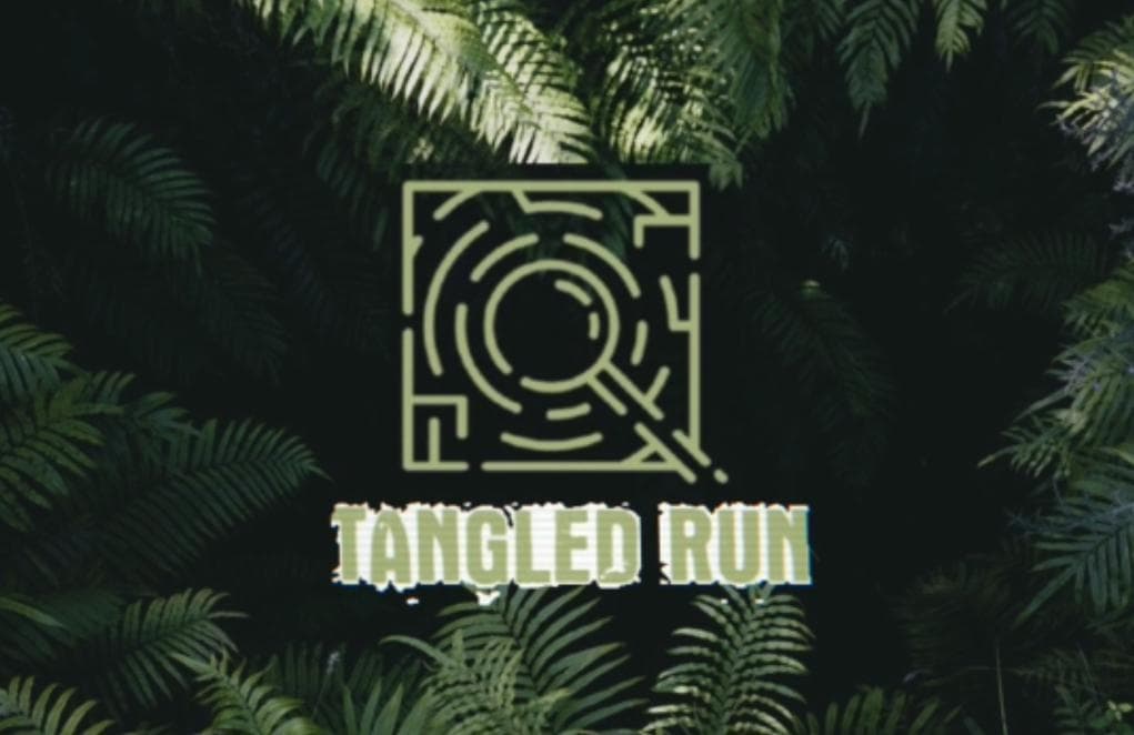 Tangled Run
