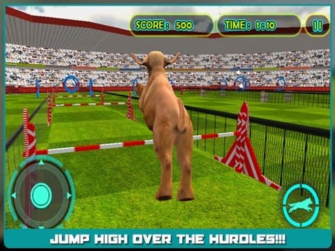 Dog Show Simulator 3D: Train puppies & perform amazing stunts screenshot 4