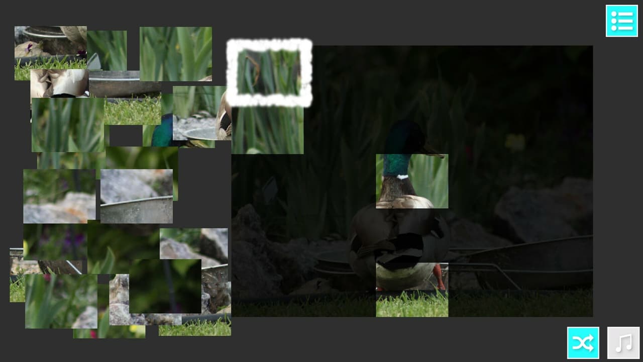 StOoPiD Puzzle Game screenshot 5