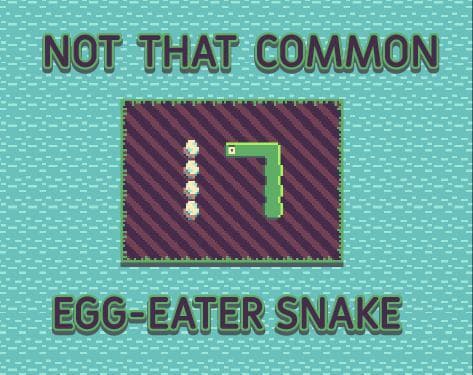 Not that common Egg-eater snake