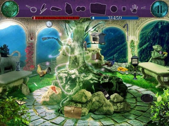 Hidden Magic Forest