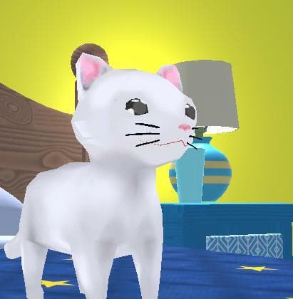 Kitty Time