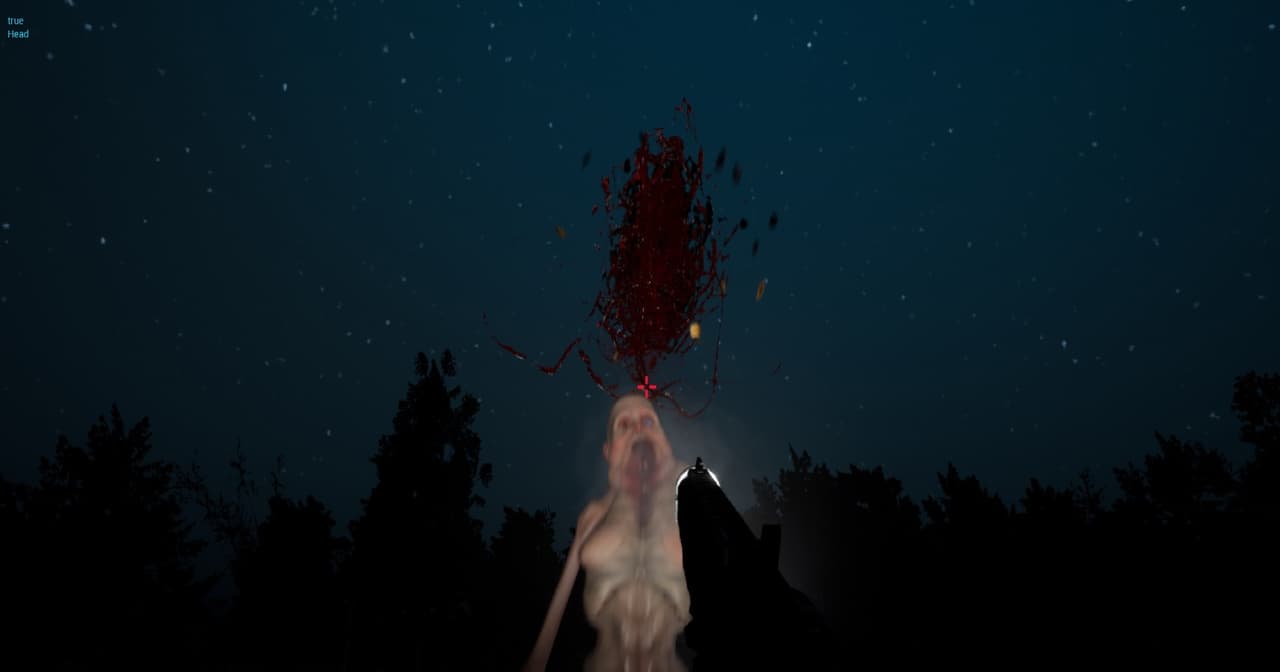 What Happened At The Cabin