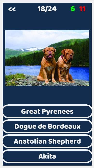 Dogs Quiz screenshot 3