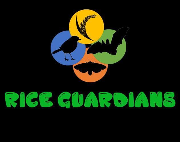 Rice Guardians