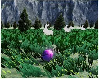 Bunny Meadow