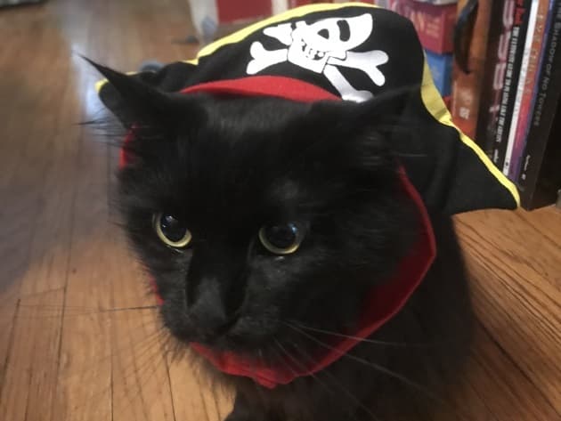 Spookys Treasure Hunt
