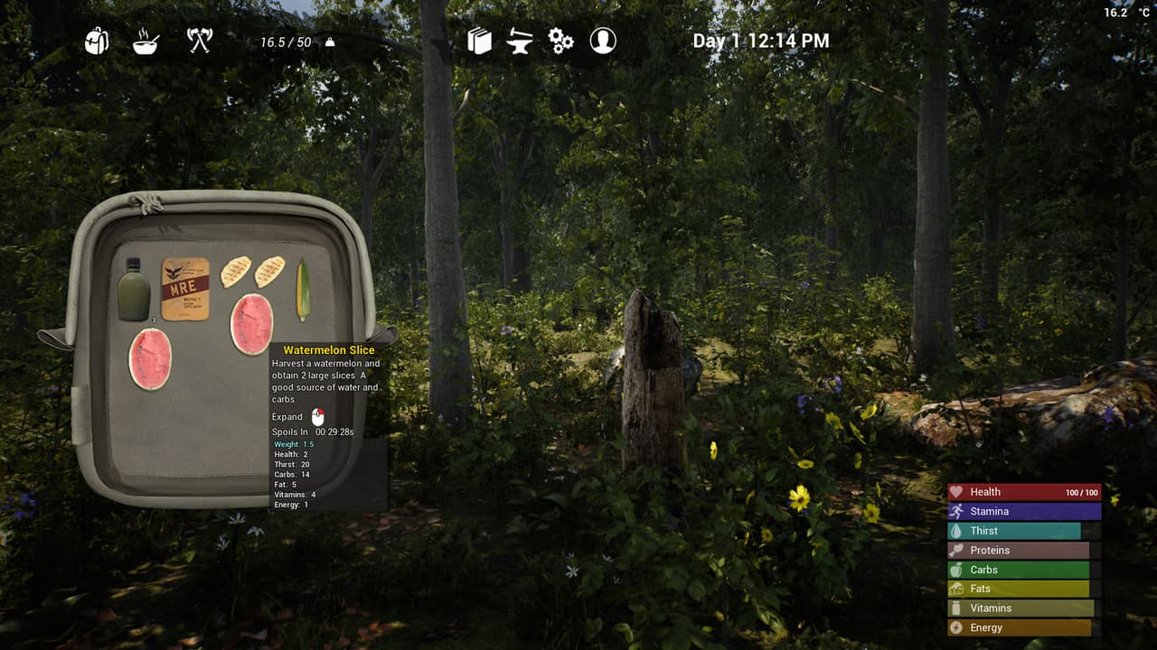 The Infected Game screenshot 3