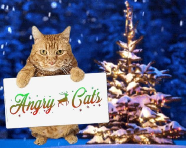 Angry Cats (Jingle Cats 2020)