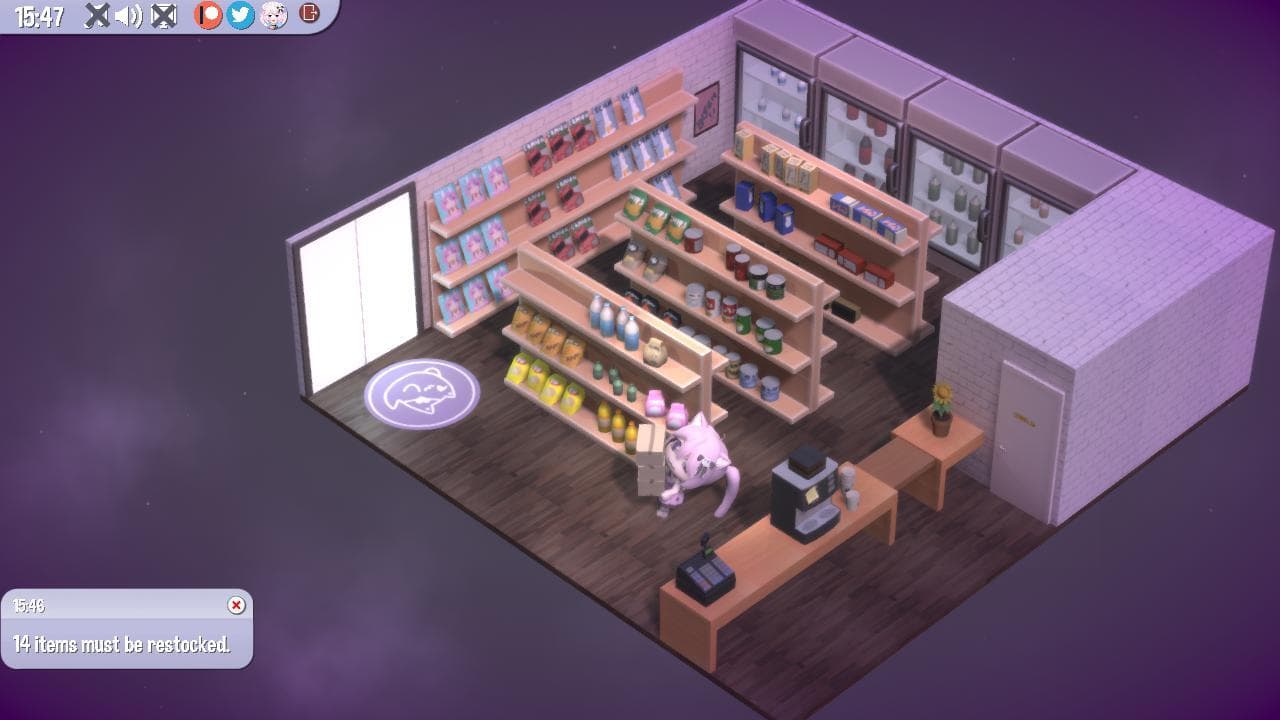 The conveNYANce store