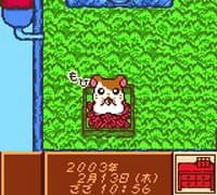 Tottoko Hamtaro: Tomodachi Daisakusen Dechu screenshot 4
