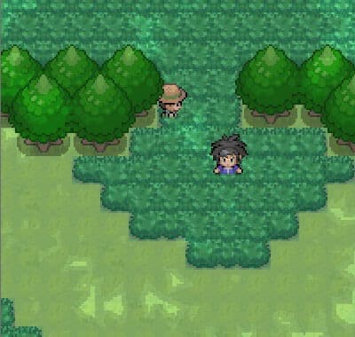 Pokémon Destiny Memory