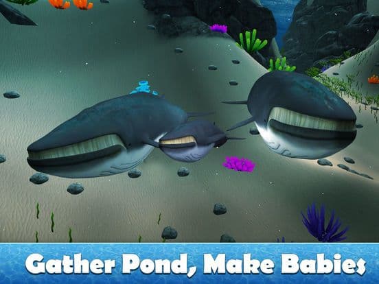 Big Blue Whale Survival 3D - Try whale simulator, be ocean animal! screenshot 3