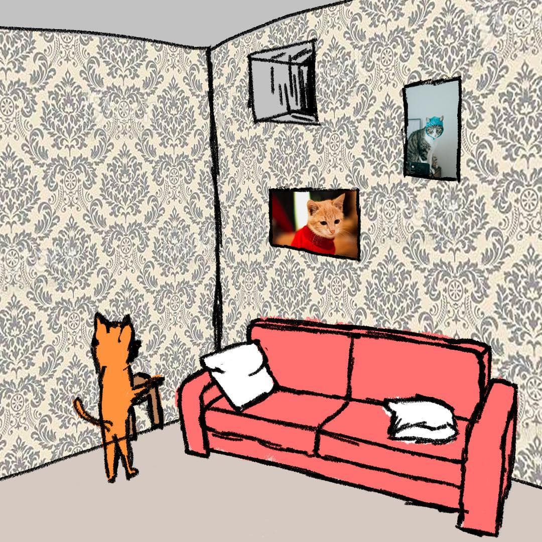 stack em Cats