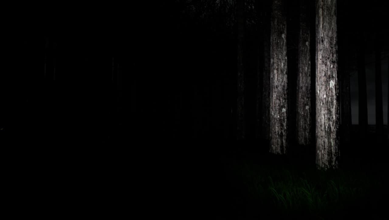 VR Forest screenshot 2