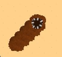 Desert Worm