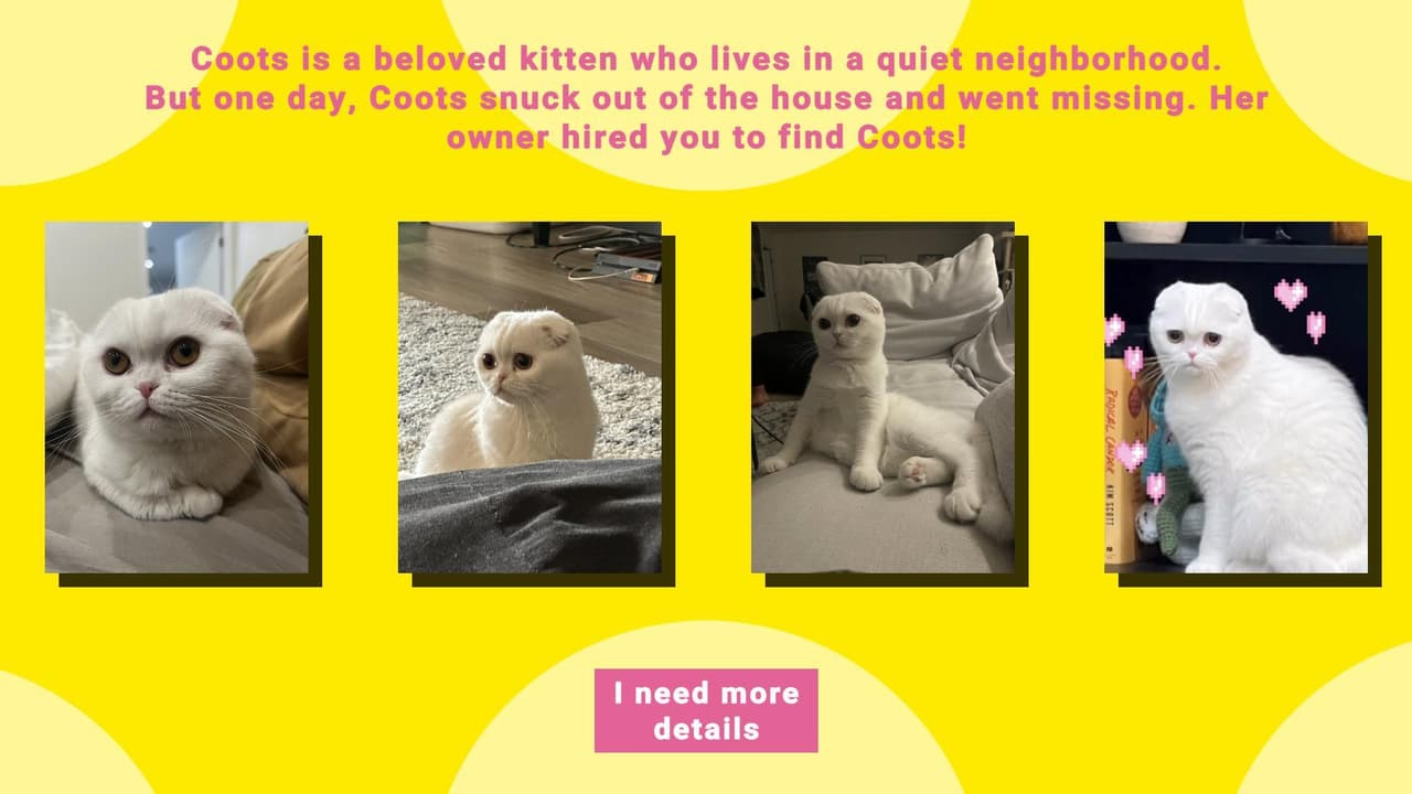 Purrfect Detective: Find Coots screenshot 3
