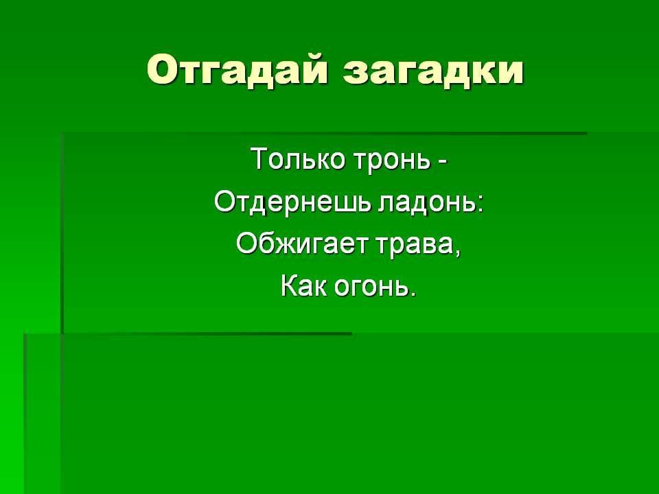 ОТГАДАЙКА +6
