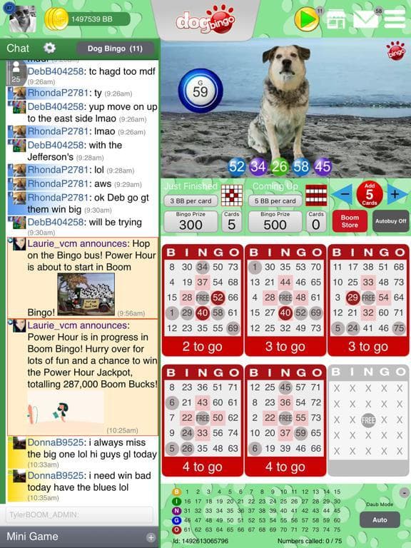 DOG BINGO - Live Dog Bingo & Slots! screenshot 4