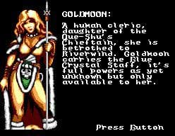 Heroes of the Lance screenshot 6