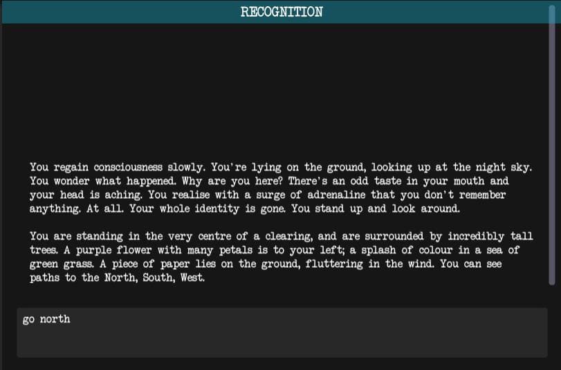 Recognition screenshot 2