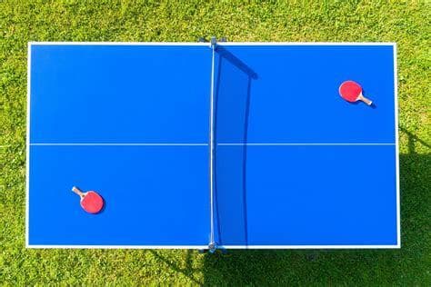 Pong Game (AOT_fan_38296621)