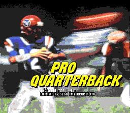 Pro Quarterback screenshot 2
