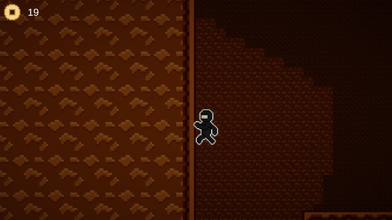 Ninja Descension