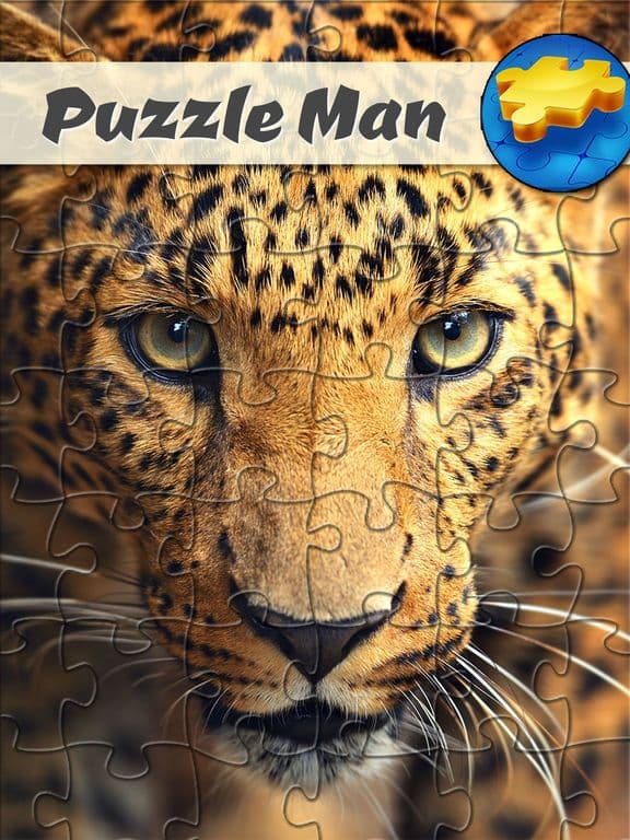 Puzzle Man - brain challenge screenshot 2