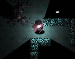 The Will of the Wisps
