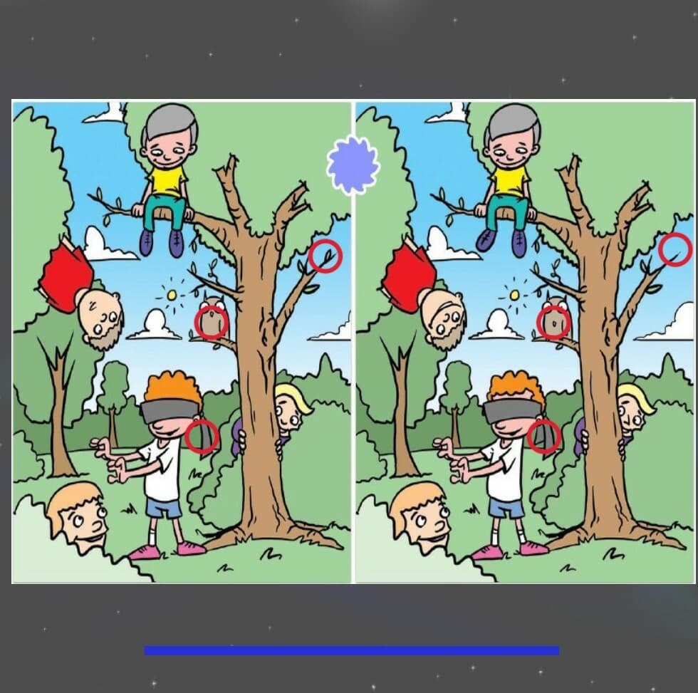 Look For Differences screenshot 4