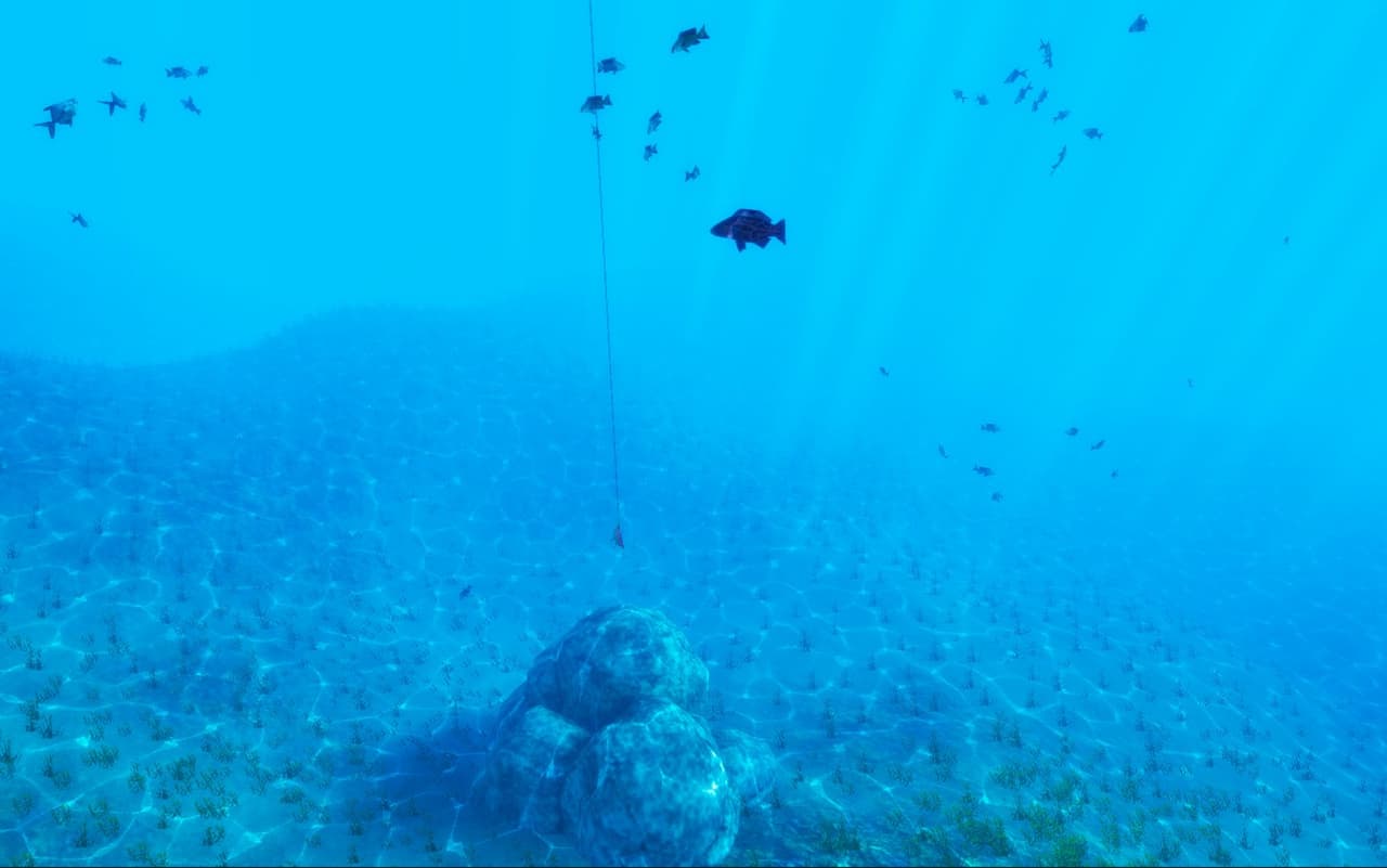 The Fishing Club 3D screenshot 4