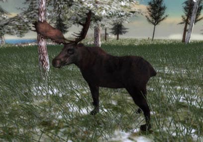 North American Hunting Extravaganza screenshot 4