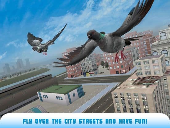Pigeon Bird Survival Simulator 3D 2