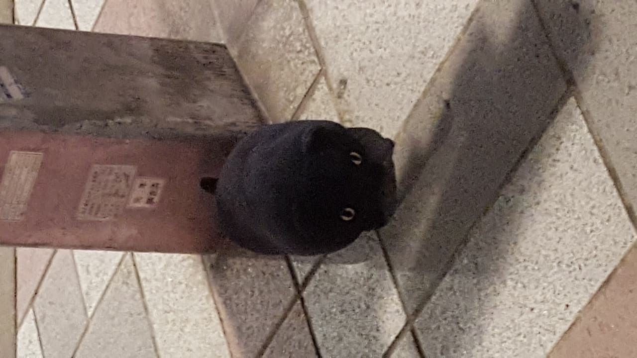 jsynthhell