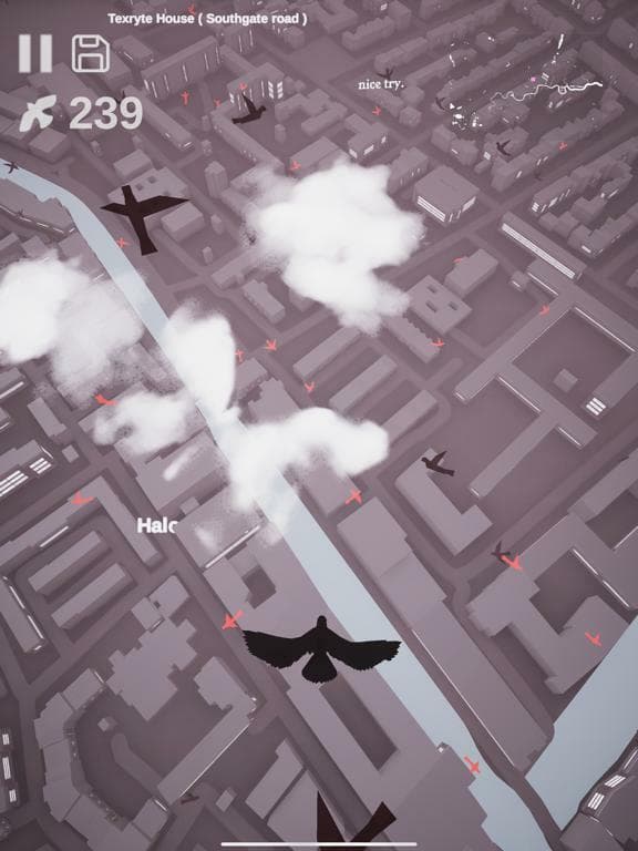 Pigeon: A Love Story screenshot 4