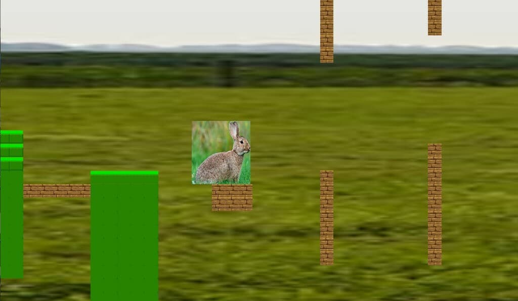 Goos The Bunny