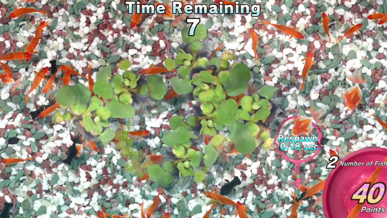 Catch Em! Goldfish Scooping screenshot 5