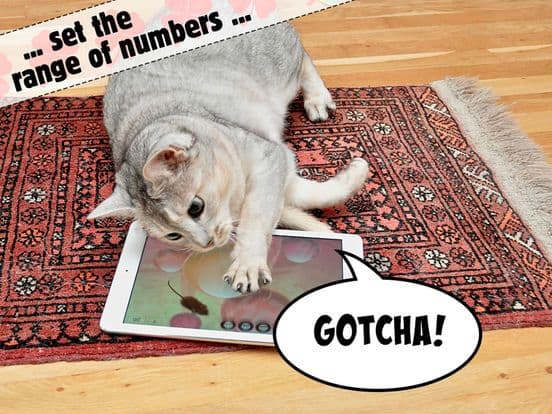 Lucky Cat Lottery Numbers - Catch Game For Cats screenshot 3