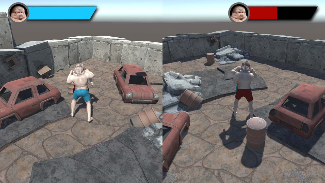 Carproof Ragdoll Fight