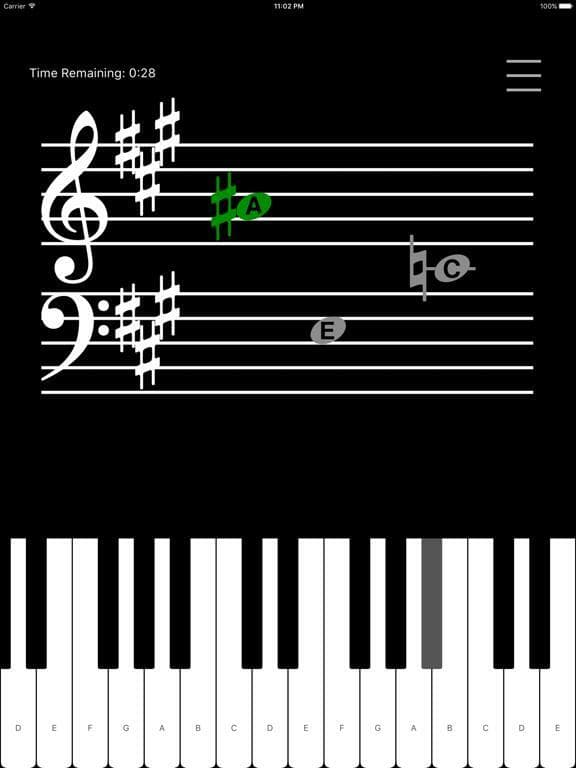 iClef - Sight Reading & Note Recognition Your Way screenshot 2