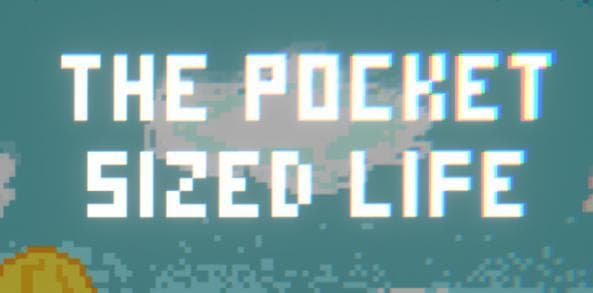 THE POCKET SIZED LIFE screenshot 2