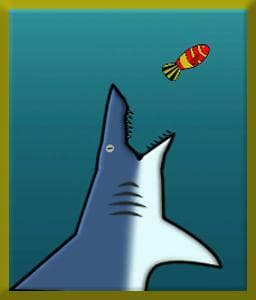 Shark Racing 2D