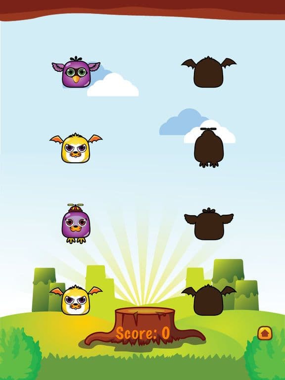 Flying Monster: Matching Shadow