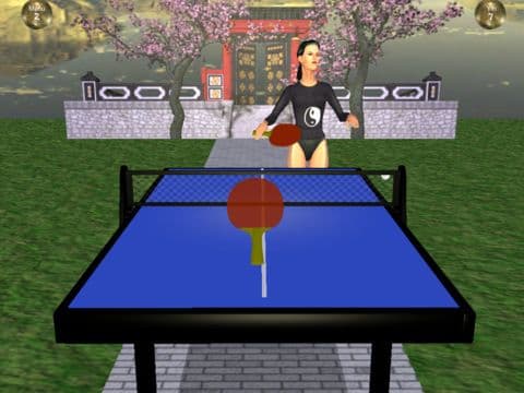 Zen Table Tennis screenshot 6