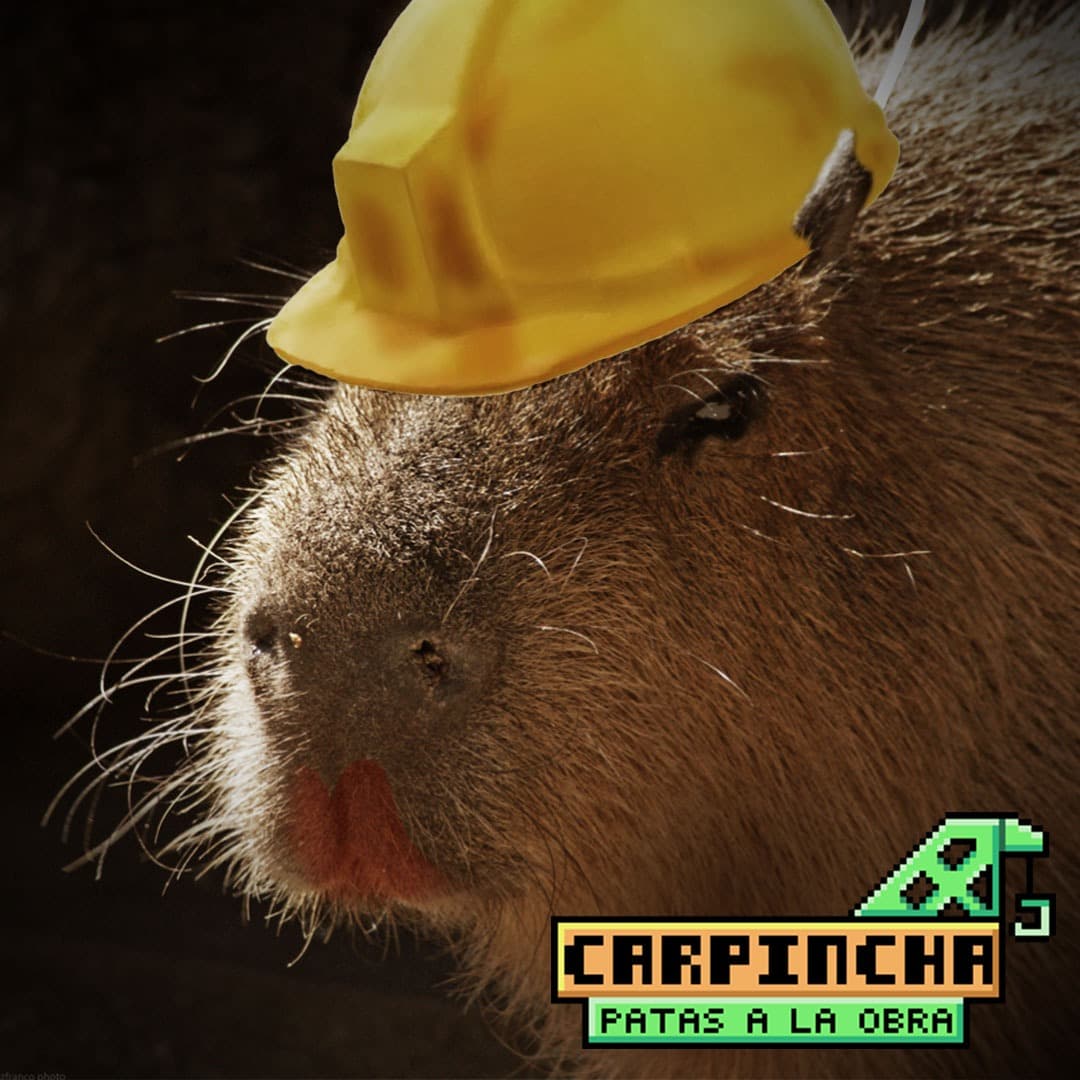 Carpincha Patas a la obra