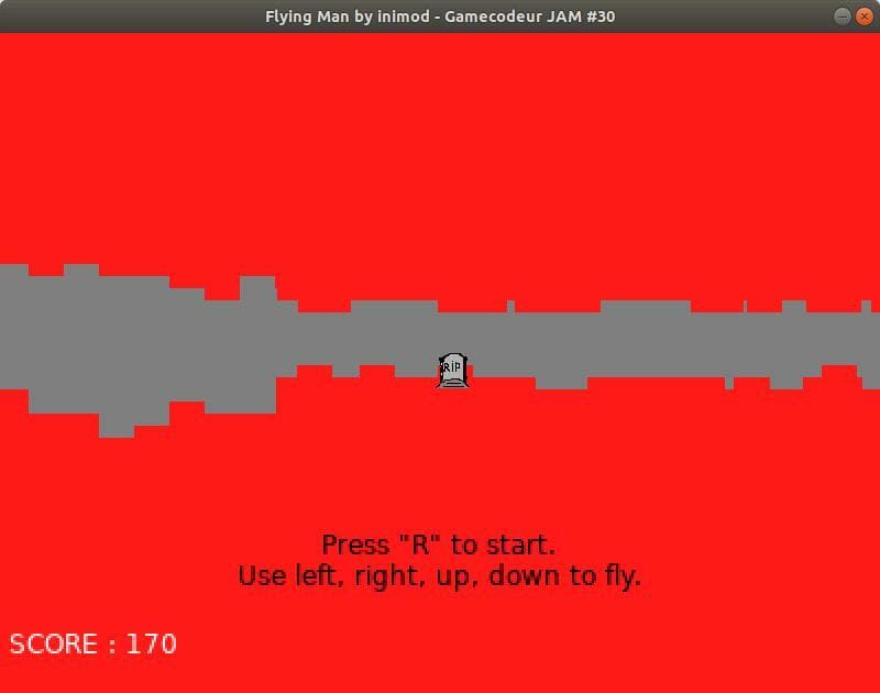 Flying Man (inimod)