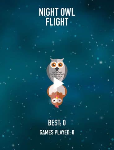Night Owl Flight screenshot 2