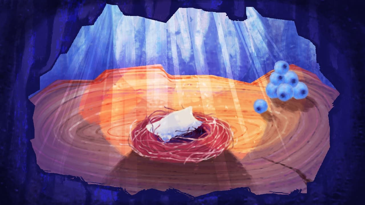 Kivi Kuvi screenshot 4